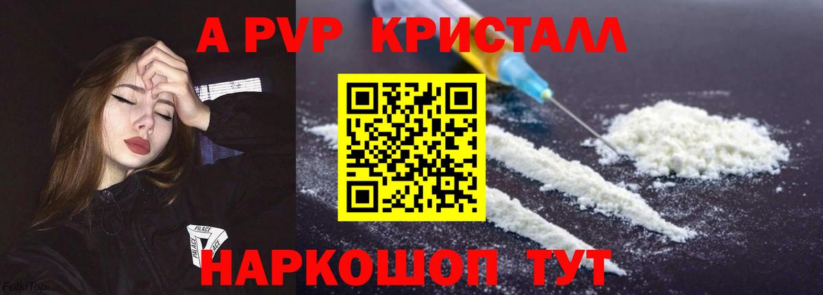 A PVP СК Луга