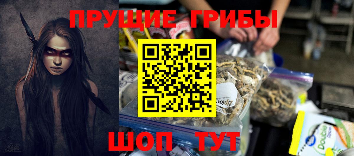 Луга  Псилоцибиновые грибы MAGIC MUSHROOMS  Вход с VPN 